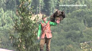 Festung Hohenwerfen Greifvogelschau  Austria HD Travel Channel [upl. by Attenreb646]