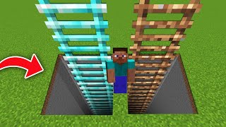 BIGGEST LADDER TO CHOOSE DIAMOND VS DIRT in MINECRAFT [upl. by Draillih]