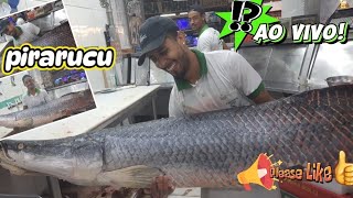 Ao vivo FAZENDO FILÉ DE PEIXE GIGANTE  PIRARUCU DA AMAZÔNIA [upl. by Eitsirhc591]