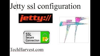 Jetty ssl configuration [upl. by Harbour]