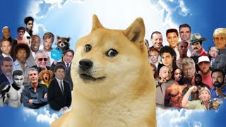 goodbye Doge Dog Kabosu [upl. by Eltsirk]