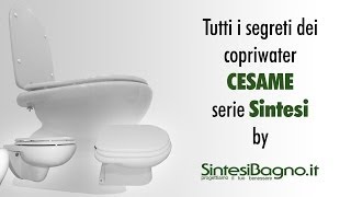 Copriwater CESAME SINTESI  Sedile ORIGINALE vs DEDICATO [upl. by Annemarie277]