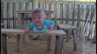 Harvest beans to sell Cook porridge for children to eat at the farm  Tuyết Free Life [upl. by Ayhay433]