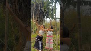 Aakhama Gajal  Nepali Song  Dance  karbi Anglong shorts [upl. by Anpas]