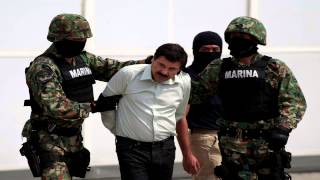 La Captura del Chapo  Los Alegres del Barranco [upl. by Ibrab]