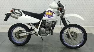 Suzuki Djebel 250 XC 042024 [upl. by Rainah]