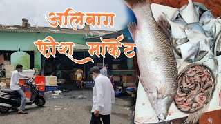 अलिबाग फिश मार्केट  Alibaug Fish Market  मासळी बाजार  fish Market 🐟  तिखट मिठ [upl. by Sirrot]