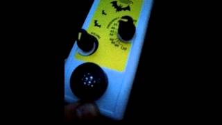 Home built Heterodyne bat detector [upl. by Anikahs]