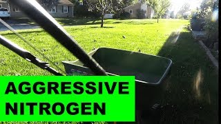 Weekly Urea and Fertilizing the Overseeded Lawn [upl. by Strohl]