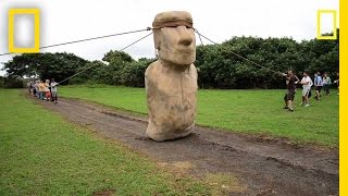 Scientists Make Easter Island Statue Walk  National Geographic [upl. by Aubrette452]