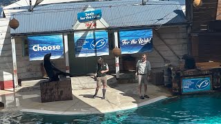 Taronga Zoo Sydney  Seals for the Wild show September 2023 🦭🇦🇺 [upl. by Lesya178]