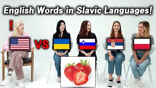 American was Shocked by Word Differences of Slavic Languages Poland Ukraine Serbia Slovenia [upl. by Nimesh]