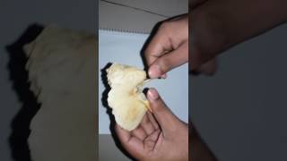 Temporal bone Part1Bangla tutorial [upl. by Ode]