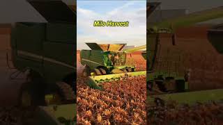 Harvesting Grain 🌾 Sorghum Milo shorts farming agriculture short viral johndeere tractor fy [upl. by Llenrap]