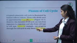 L  1  CELL Cycle and Cell Division  Class 11  UP Board  CBSE  NCERT  Phyzital Classes [upl. by Jun]