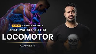 AO VIVO Anatomia do Aparelho Locomotor [upl. by Burroughs]