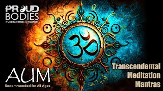 TM Mantras AUM 5minute meditation [upl. by Esyla987]