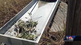 Louisiana shrimper survives being stranded by sailing home on a makeshift raft [upl. by Eneja730]