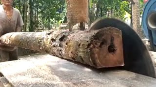 The Fastest and Most Dangerous Disc Saw Wood Splitting Machine  Log splitting saw [upl. by Assir]