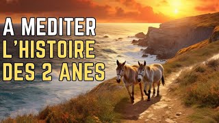 A MEDITER  lHISTOIRE des 2 ANES [upl. by Atilamrac]