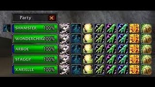 wow Tutorial Healbot und Healium Vergleich [upl. by Mcconaghy]