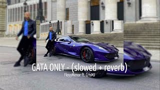 GATA ONLY  slowed  reverb [upl. by Elocal]