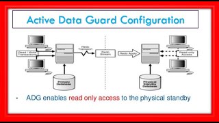 Active Data Guard Setup with one Shell Script  Oracle 19c Data Guard Setup [upl. by Ennairod62]