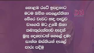 paru palamen karaoke Sunil Edirisingha පාරු පාලමෙන්  Sanidapa live [upl. by Kruse518]