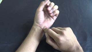 WRIST JOINT  MOVEMENTS [upl. by Hannad510]