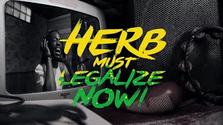 Mystic Revealers amp Friends  Herb Must Legalize Now 420 HighGrade Remix  Official Music Video [upl. by Hubsher]