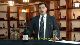 Valpolicella Classico Superiore Ripasso DOC 2009 Antolini  Videodegustazione Online wine tasting [upl. by Sheena74]