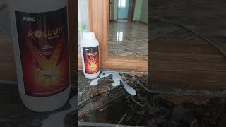 Termite control service 9750755910 [upl. by Eeryn]