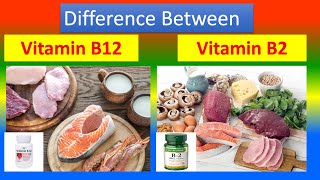 Difference Between Vitamin B12Cobalamin and Vitamin B2Riboflavin [upl. by Sheena]