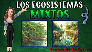 🌍🐊LOS ECOSISTEMAS MIXTOS Sus Tipos Características Flora y Fauna🍃🐠 [upl. by Aiveneg]