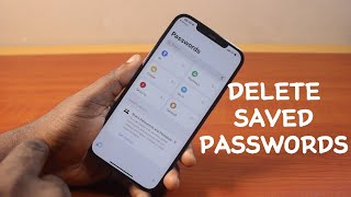 How to Delete Saved Passwords on iPhone on iOS 18 [upl. by Laud]