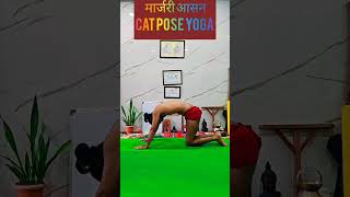 benefits of marjariasana ll मार्जरी आसन के क्या फायदे हैं india nepal goa uk usa osho viral [upl. by Naitsirc]