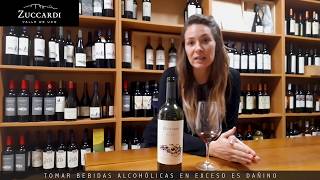 Zuccardi Serie A Malbec  Nota de Cata [upl. by Garrett]