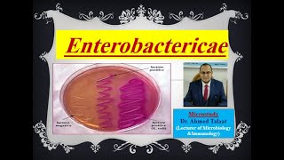 Enterobacteriaceae quotMedical Microbiologyquot [upl. by Torbert]