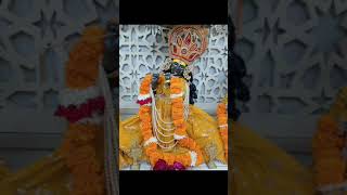 श्री राधे Dwarika Nath ki jai श्री राधे राधे [upl. by Eustatius]