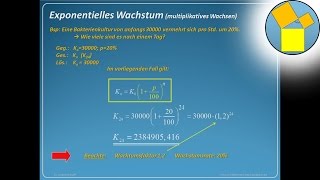 Exponentielles Wachsen und Abnehmen  Rueff [upl. by Blum786]