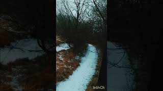 winter december woods snow [upl. by Yttocs]