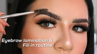 Brow Lamination amp Brow Tutorial How I Fill Them In [upl. by Anaiviv]