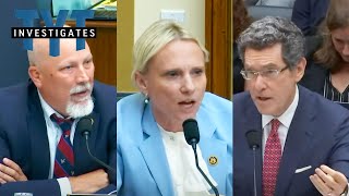 WATCH Dem Witness Has The PERFECT Response To MAGAs Lunacy [upl. by Aundrea]