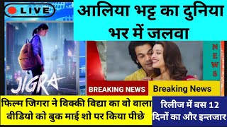 Vicky Vidya Ka Wala Video Vs Jigra Movie Hype Comparisons 30 September 2024 । Aalia Bhatt New Movie [upl. by Ylrahc]