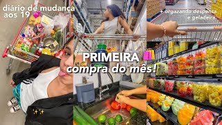 DIÁRIO DE MUDANÇA 6  primeira compra do mês  organizando geladeira e despensa 🛍️ [upl. by Budwig]