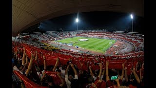 Crvena Zvezda  Napoli Âť Neverovatna Koreografija UEFA Champions League [upl. by Zebulon910]