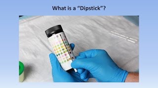 Interpretation of the Urinalysis Part 2  The Dipstick [upl. by Suinotna]