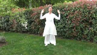 Apprendre le Wu Dang Qi gong 5 premiers mouvements [upl. by Laughlin]