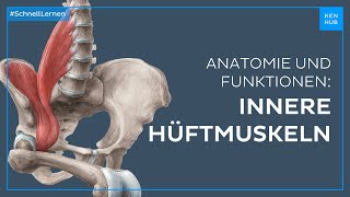 Innere Hüftmuskulatur  Anatomie und Funktion schnell lernen  Kenhub [upl. by Boswell]