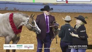 Select 2YearOld Stallions  2024 AQHA World Championship Show [upl. by Tova]